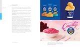  Universal Principles of Branding: 100 Key Concepts for Defining, Building, and Delivering Brands 