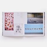  Wangechi Mutu (Phaidon Contemporary Artists Series) 