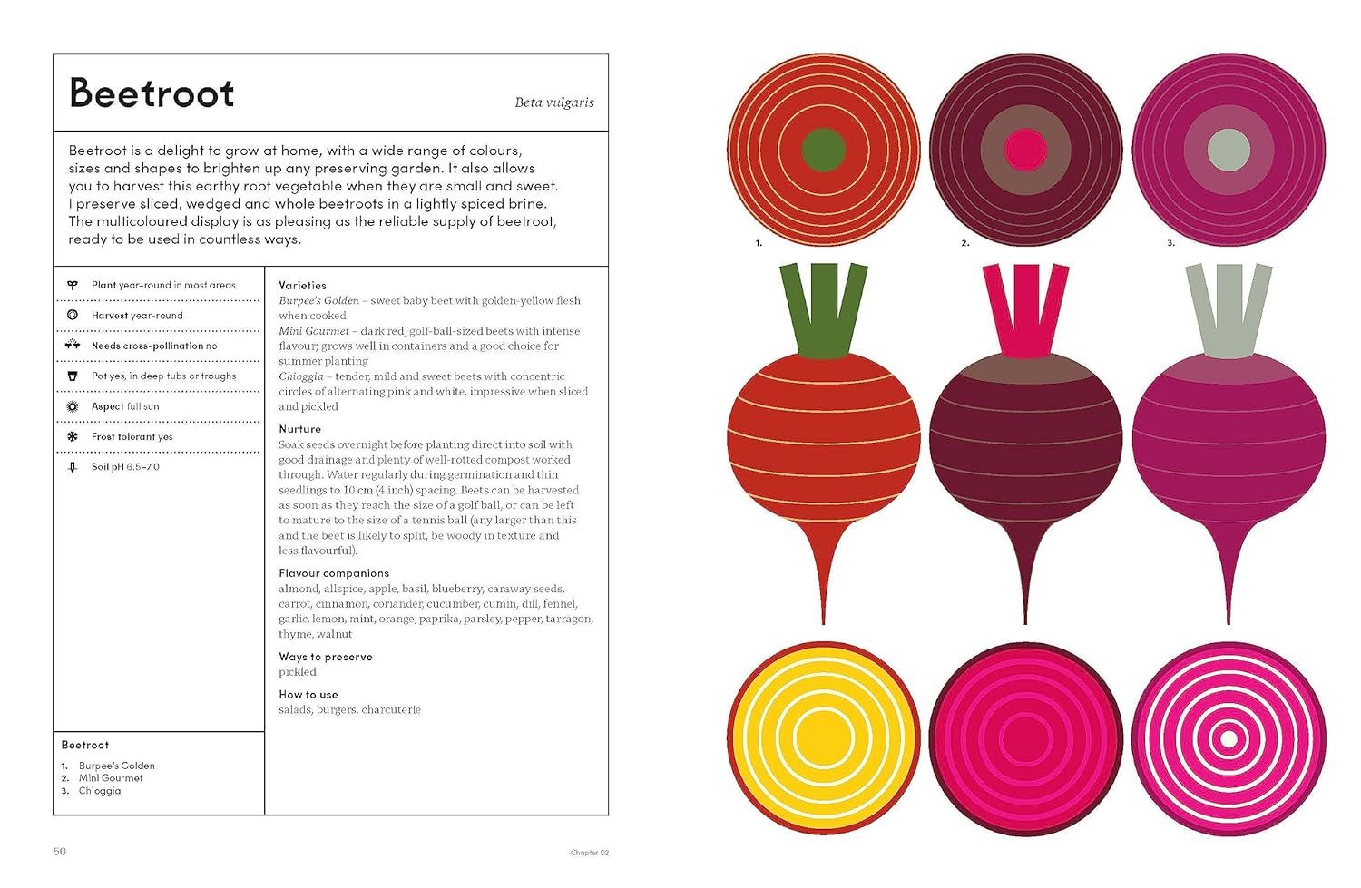  The Preserving Garden: Bottle, pickle, ferment and cook homegrown food all year round /anglais 