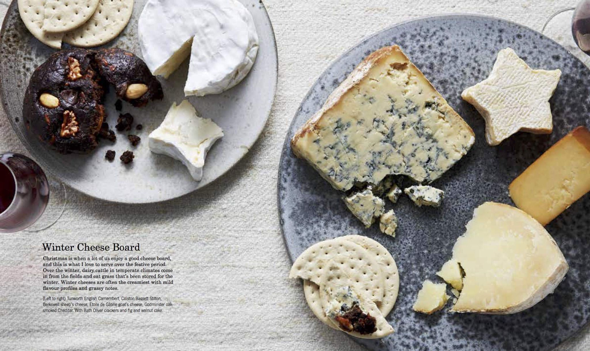  The Modern Cheesemaker 