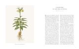  The Art of Botanical Illustration 