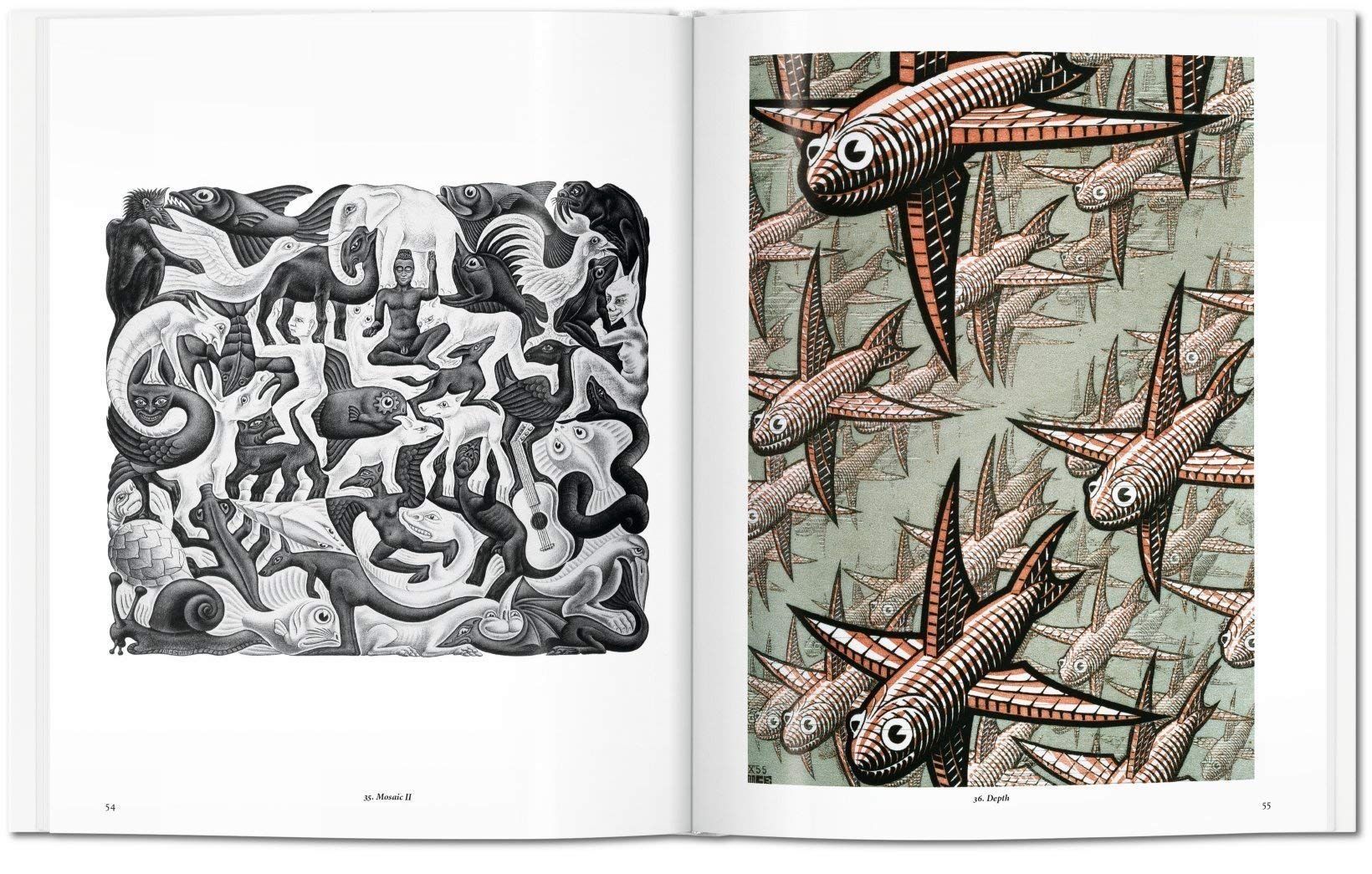  M.C. Escher_Taschen_9783836529846_Taschen 