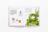  How To Raise A Plant_Morgan Doane_9781786273017_Laurence King Publishing 