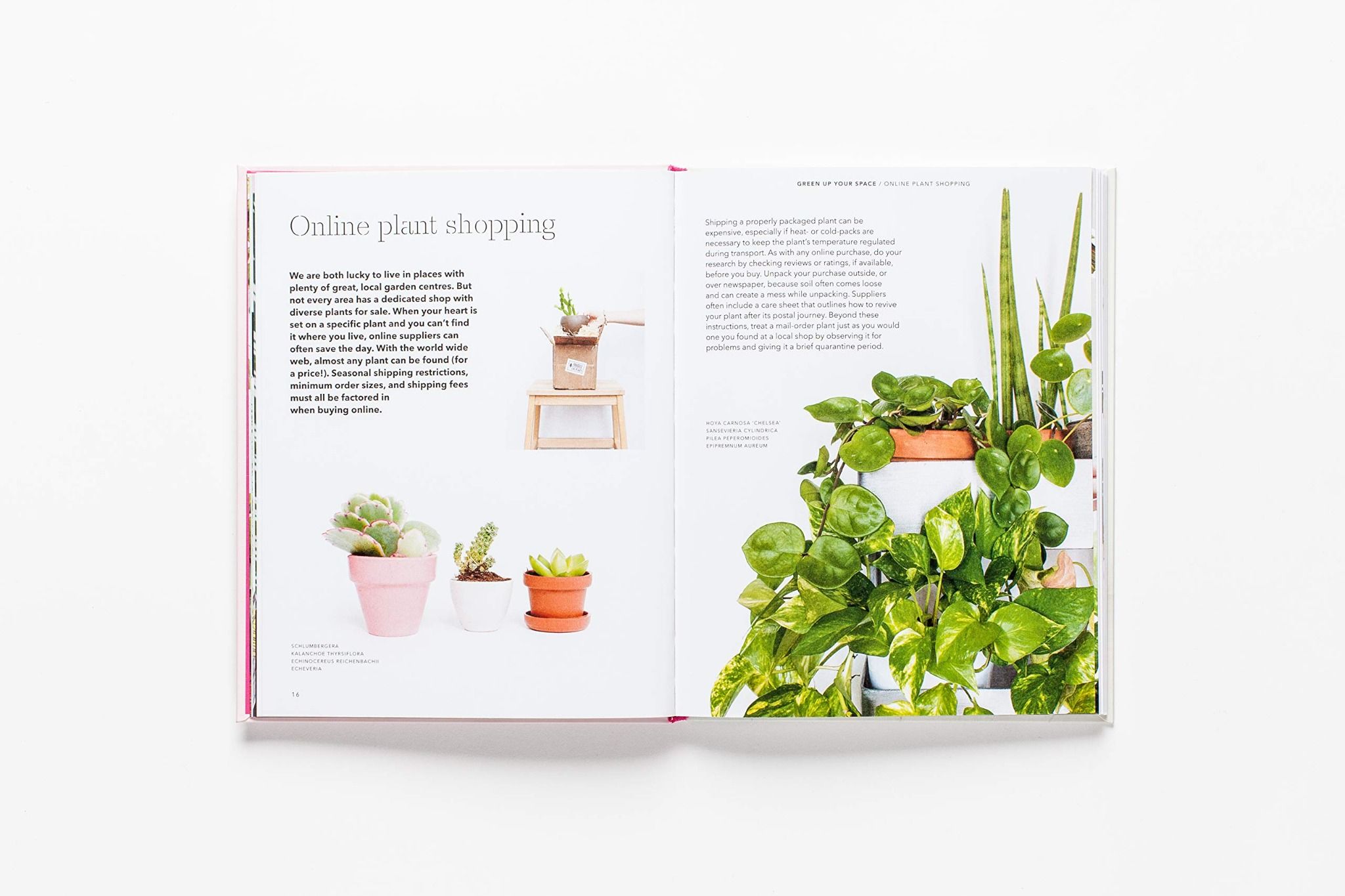  How To Raise A Plant_Morgan Doane_9781786273017_Laurence King Publishing 