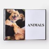  Palace Product Descriptions: The Selected Archive 