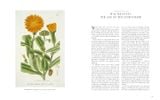  The Art of Botanical Illustration 