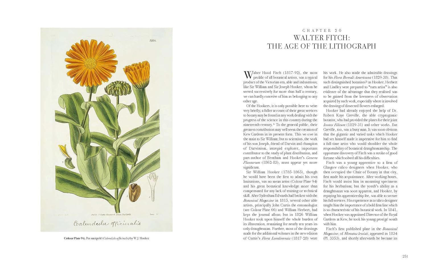  The Art of Botanical Illustration 