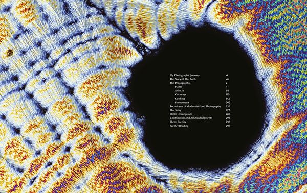 Photography of Modernist Cuisine_Nathan Myrhvold_9780982761021_The Cooking Lab