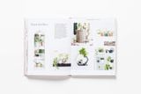  How To Raise A Plant_Morgan Doane_9781786273017_Laurence King Publishing 