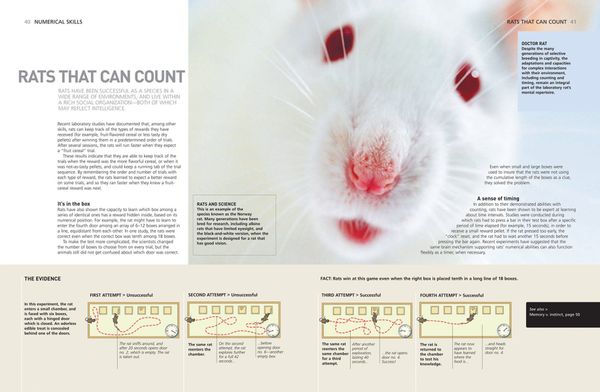 Smartest Animal on the Planet_Sally Boysen_9789812751096_Bloomsbury Publishing PLC