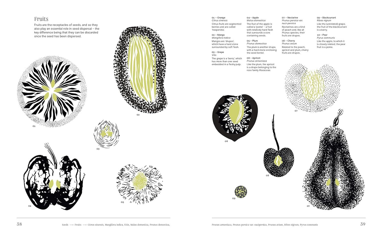  Trees: From Root to Leaf ? A Financial Times Book of the Year 