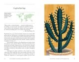  The Hidden Histories Of Houseplants: Fascinating Stories Of Our Most-Loved Houseplants_Maddie Bailey_9781784884055_Hardie Grant Books (UK) 