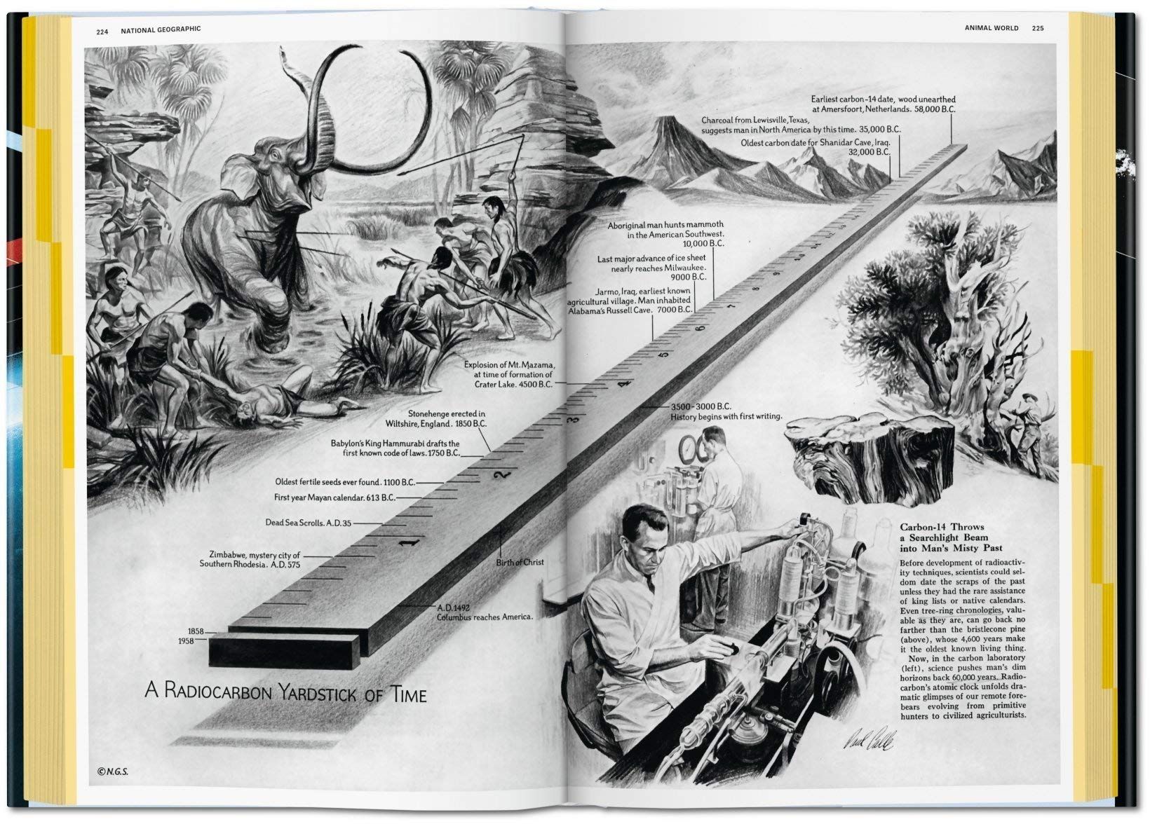  National Geographic Infographics_Taschen GmbH_ 9783836545952_Edited by  Julius Wiedemann 