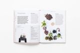  How To Raise A Plant_Morgan Doane_9781786273017_Laurence King Publishing 