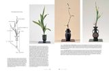  Ikebana_Shozo Sato_9784805312667_Tuttle Publishing 