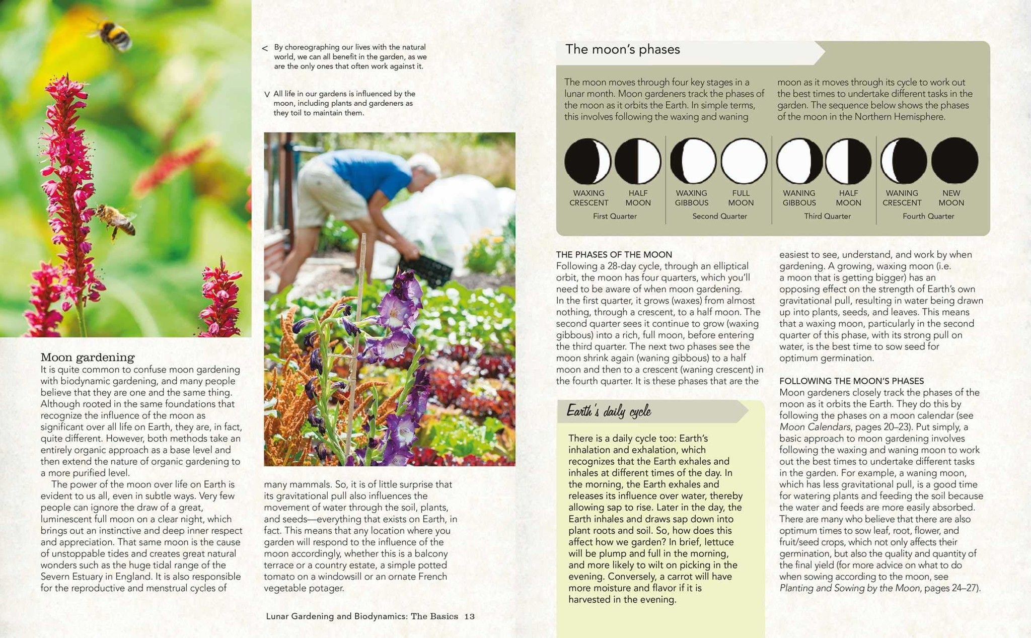 Moon Gardening Planting your biodynamic garden by the phases of the m