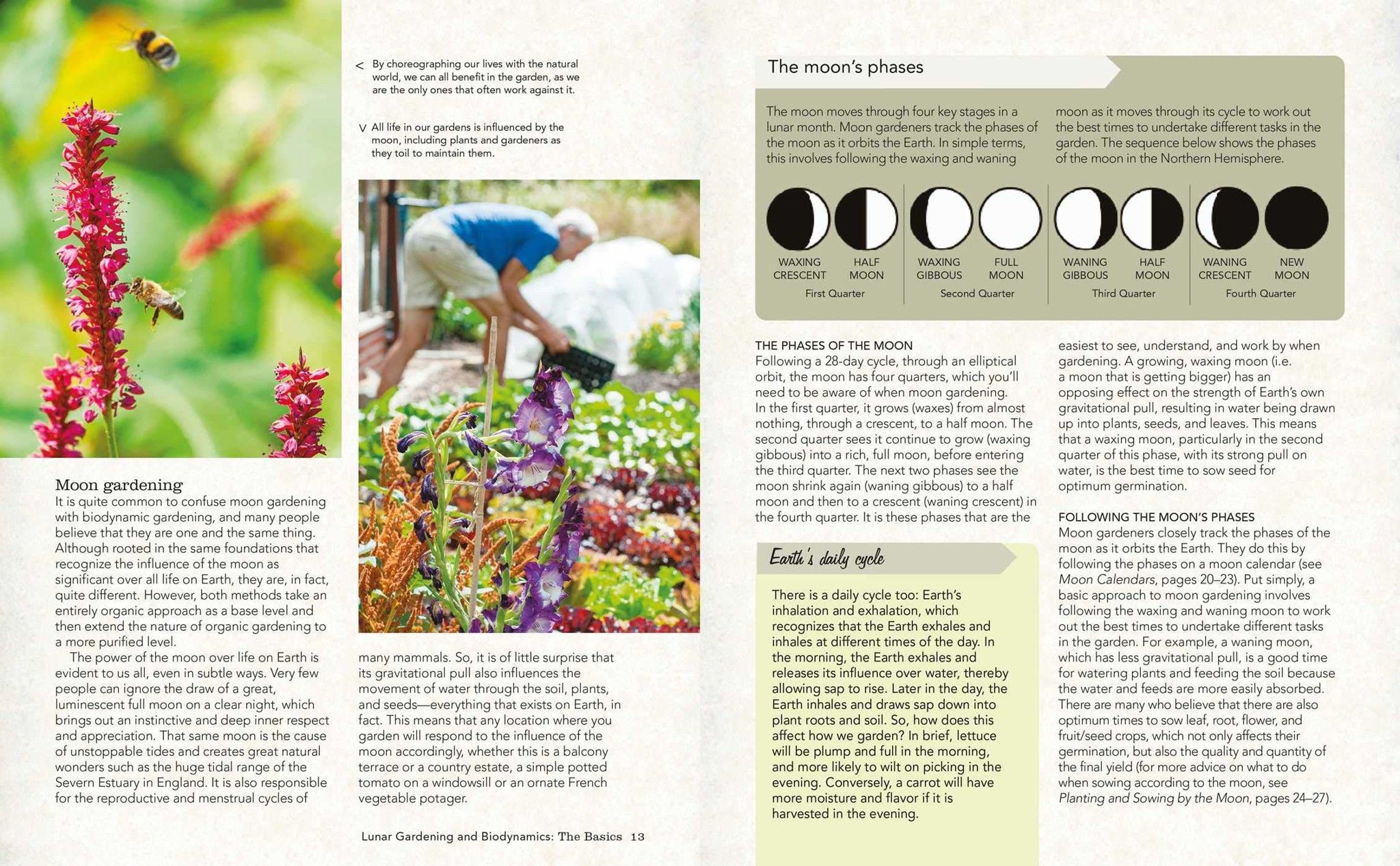  Moon Gardening: Planting your biodynamic garden by the phases of the moon 