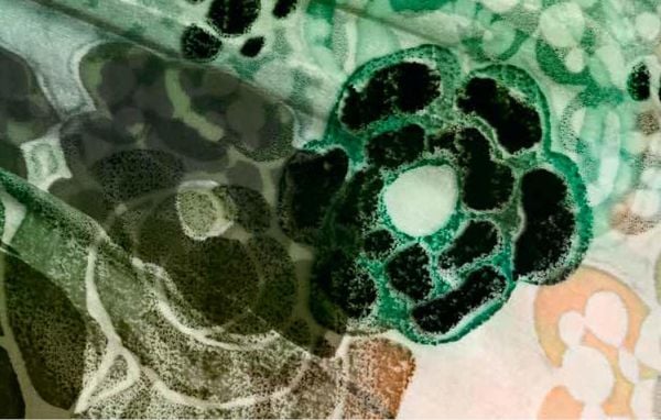 Flowers Of Yves Saint Laurent, The