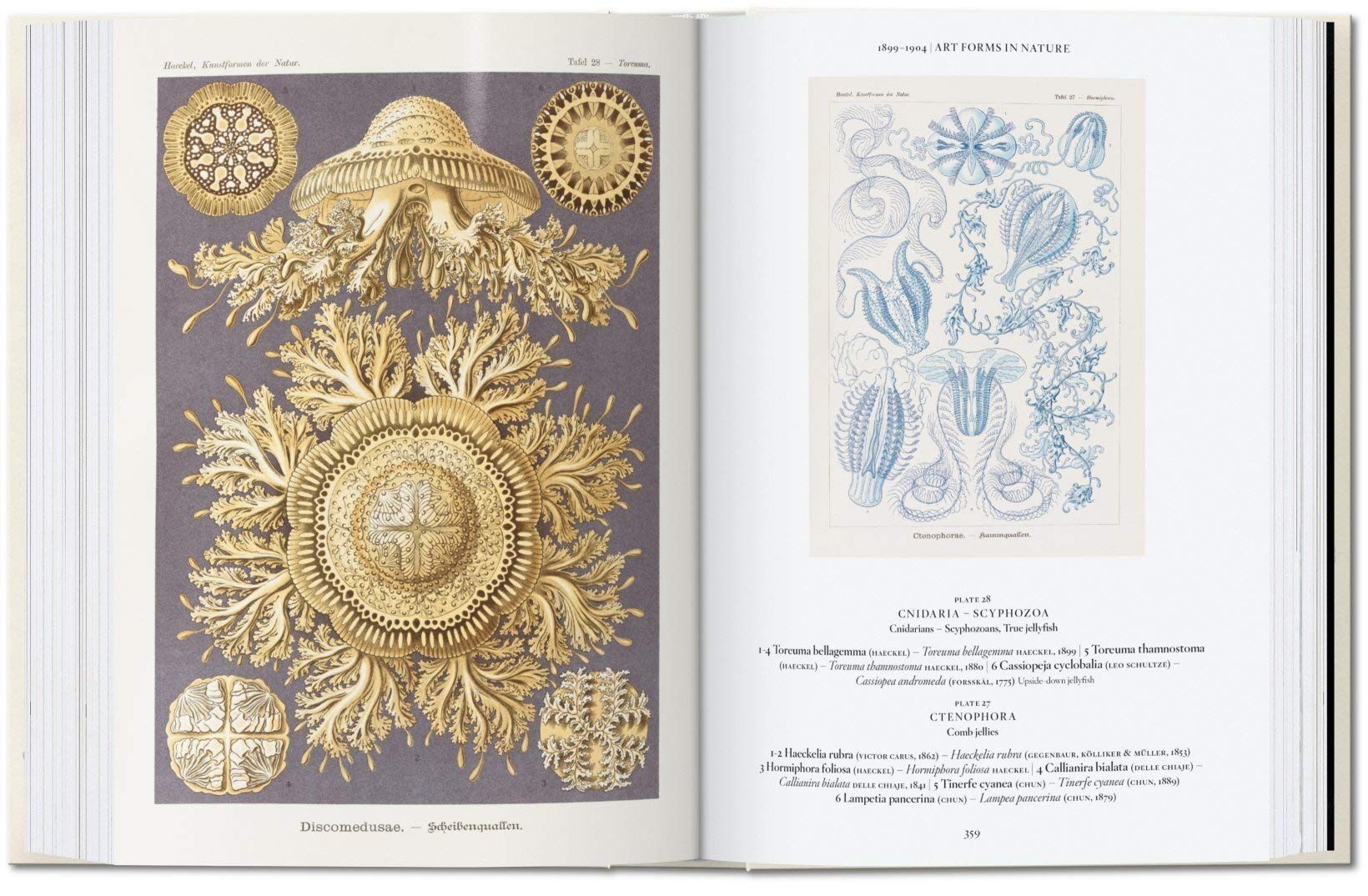  The Art and Science of Ernst Haeckel_Rainer Willmann_9783836584289_Taschen 