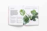  How To Raise A Plant_Morgan Doane_9781786273017_Laurence King Publishing 