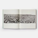  Vitamin D3, Today's Best in Contemporary Drawing 