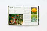  Wild About Weeds_Jack Wallington_9781786275301_Laurence King Publishing 