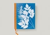  Anna Atkins: Cyanotypes 