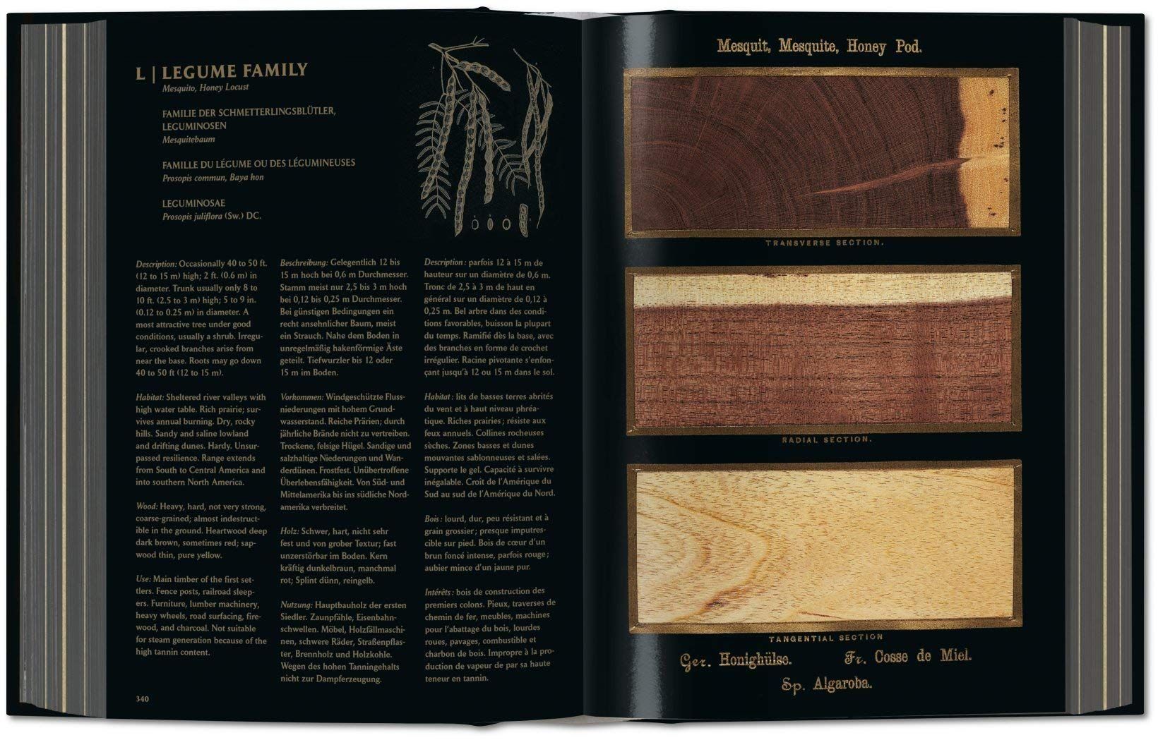  Romeyn B. Hough: The Woodbook 