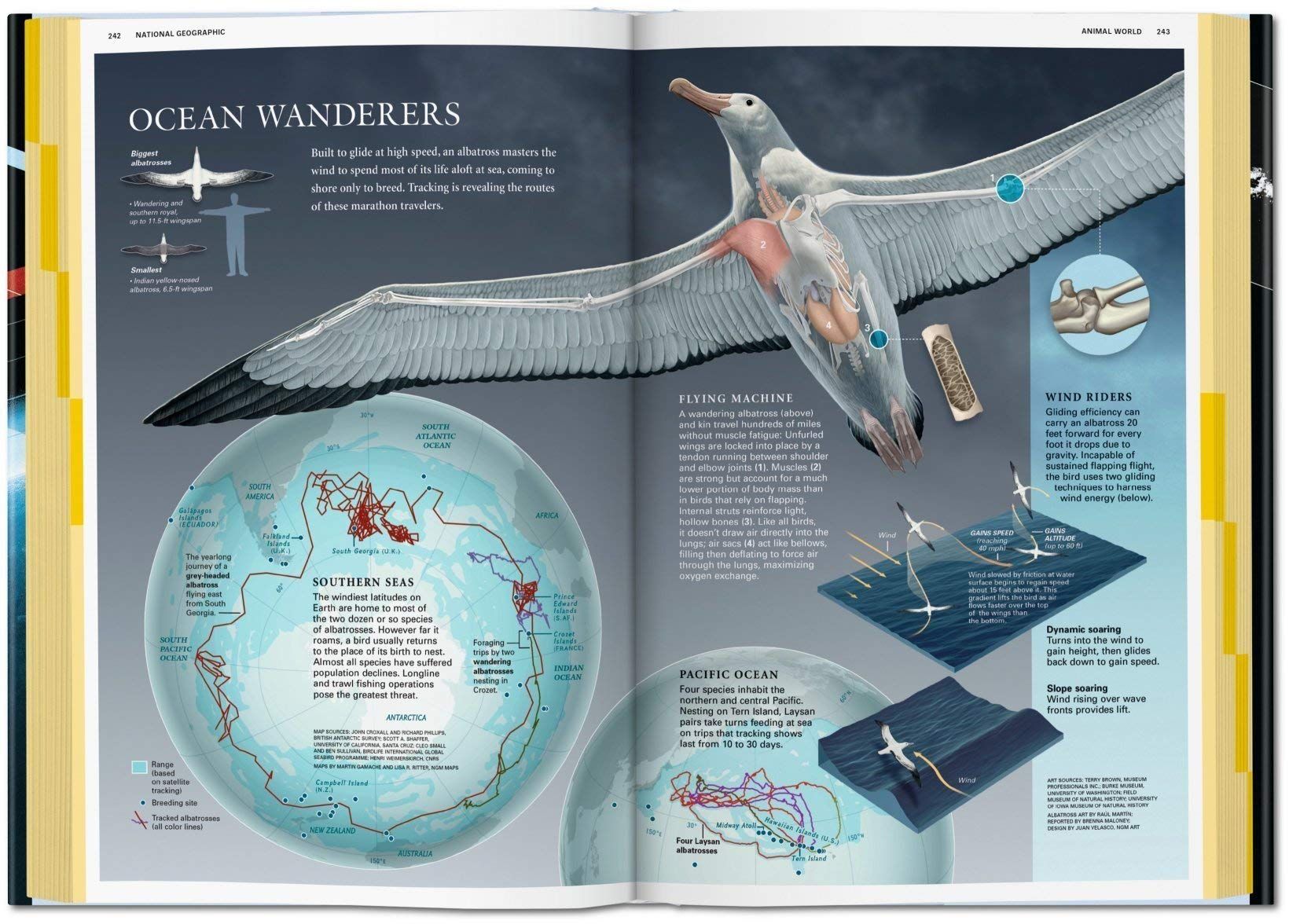  National Geographic Infographics_Taschen GmbH_ 9783836545952_Edited by  Julius Wiedemann 