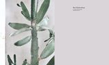  A New Leaf: Curated Houses Where Plants Meet Design_Jennifer Haslam_9781784884628_Hardie Grant Books (UK) 
