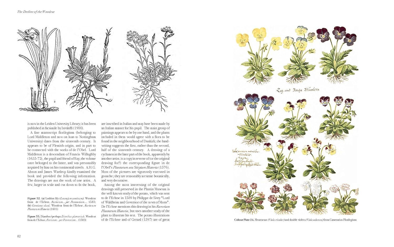  The Art of Botanical Illustration 