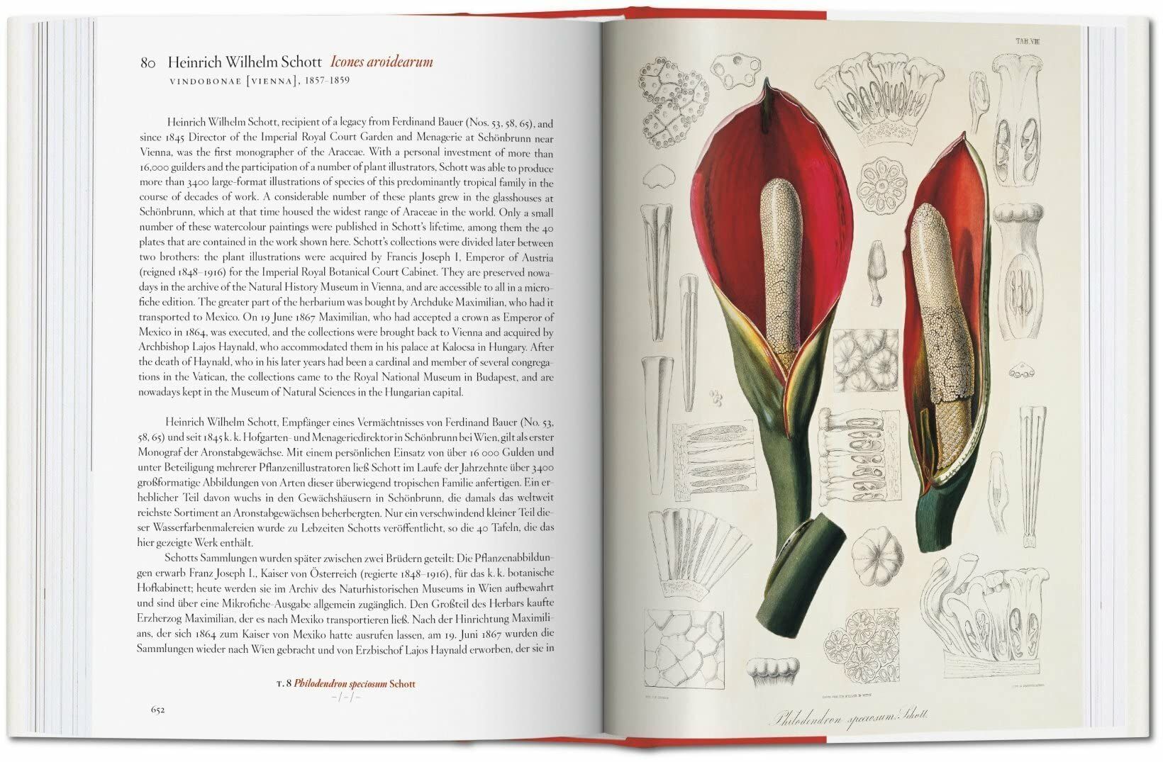  A Garden Eden. Masterpieces of Botanical Illustration. 40th Ed. 