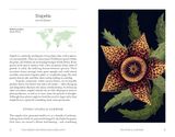  The Hidden Histories Of Houseplants: Fascinating Stories Of Our Most-Loved Houseplants_Maddie Bailey_9781784884055_Hardie Grant Books (UK) 