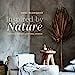  Inspired by Nature: Creating a personal and natural interior 
