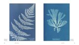  The Art of Science_Nathan Cohen_9781787394568_ Welbeck Publishing Group 