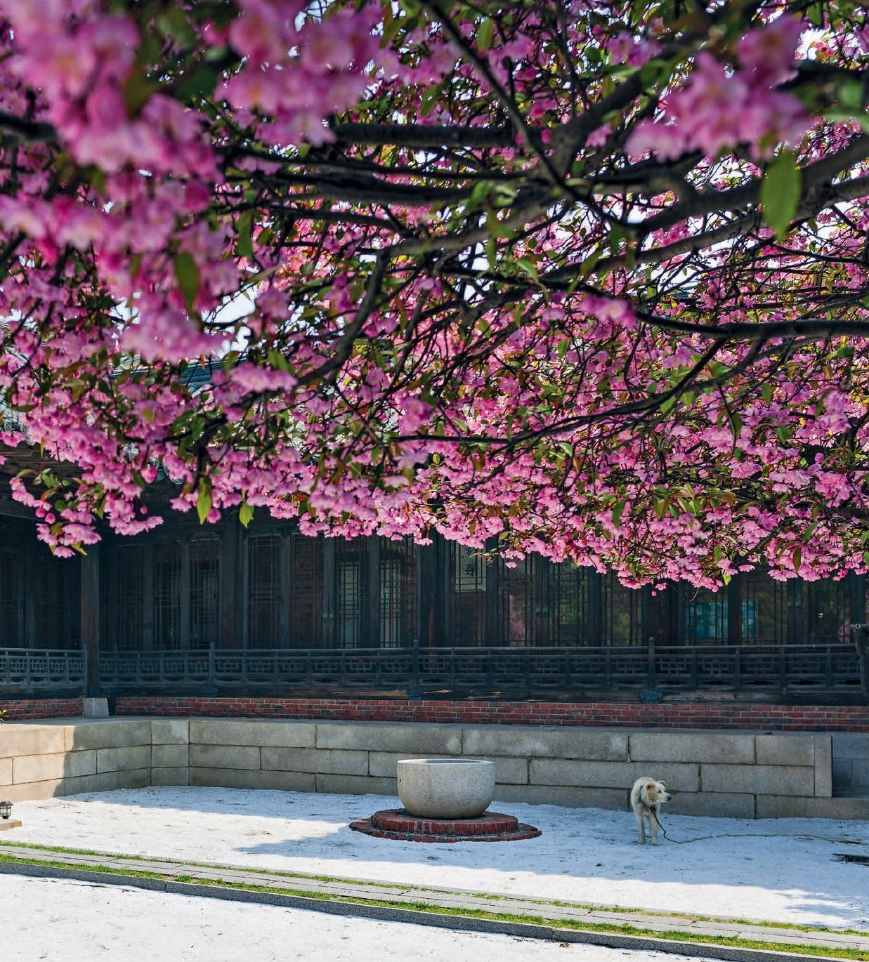  Hanok: The Korean House_Nani Park_9780804844673_Tuttle Publishing 