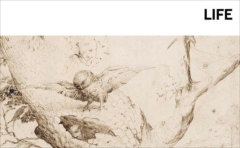  Bosch-Masters Of Art_Brad Finger_9783791386256_Prestel 