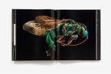  Microsculpture : Portraits of Insects_Levon Biss_9781419726958_Abrams 