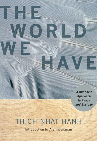 World We Have: A Buddhist Approach to Peace and Ecology