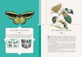  The Butterfly Pavilion_James Lowen_9780233005591_ Welbeck Publishing Group 