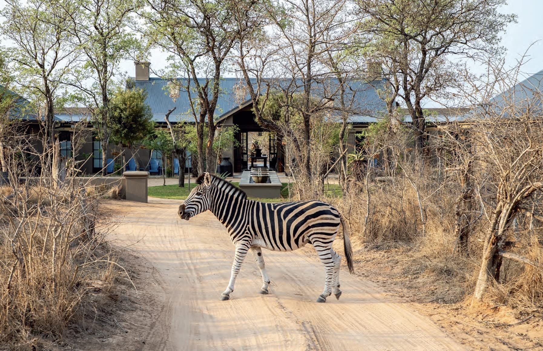 safari style melissa biggs bradley