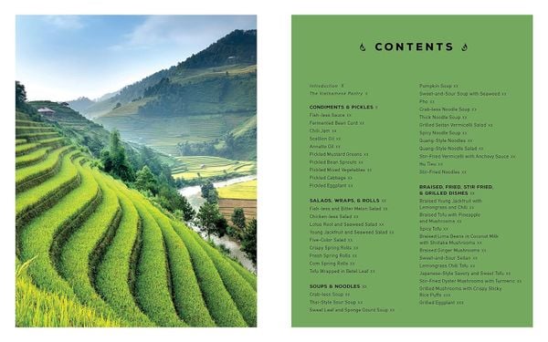 Vegan Vietnamese: Vibrant Plant-Based Recipes to Enjoy Every Day