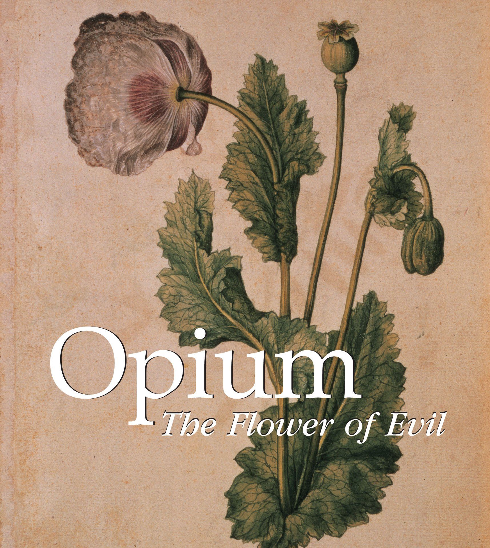  Opium: The Flower of Evil (Mega Square)_Donald Wigal_9781783100187_Parkstone Press Ltd 