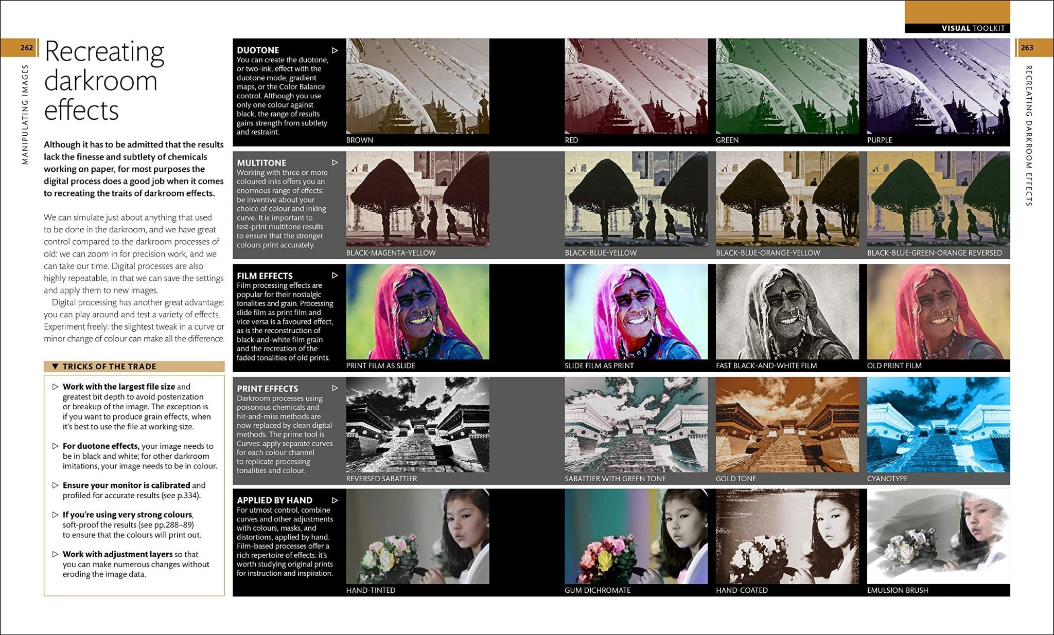  Digital Photography Step by Step_Tom Ang_9780241226797_Dorling Kindersley 