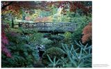  Kengo Kuma and the Portland Japanese Garden_Botond Bognár_9780847864669_Rizzoli International Publications 