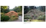  Kengo Kuma and the Portland Japanese Garden_Botond Bognár_9780847864669_Rizzoli International Publications 