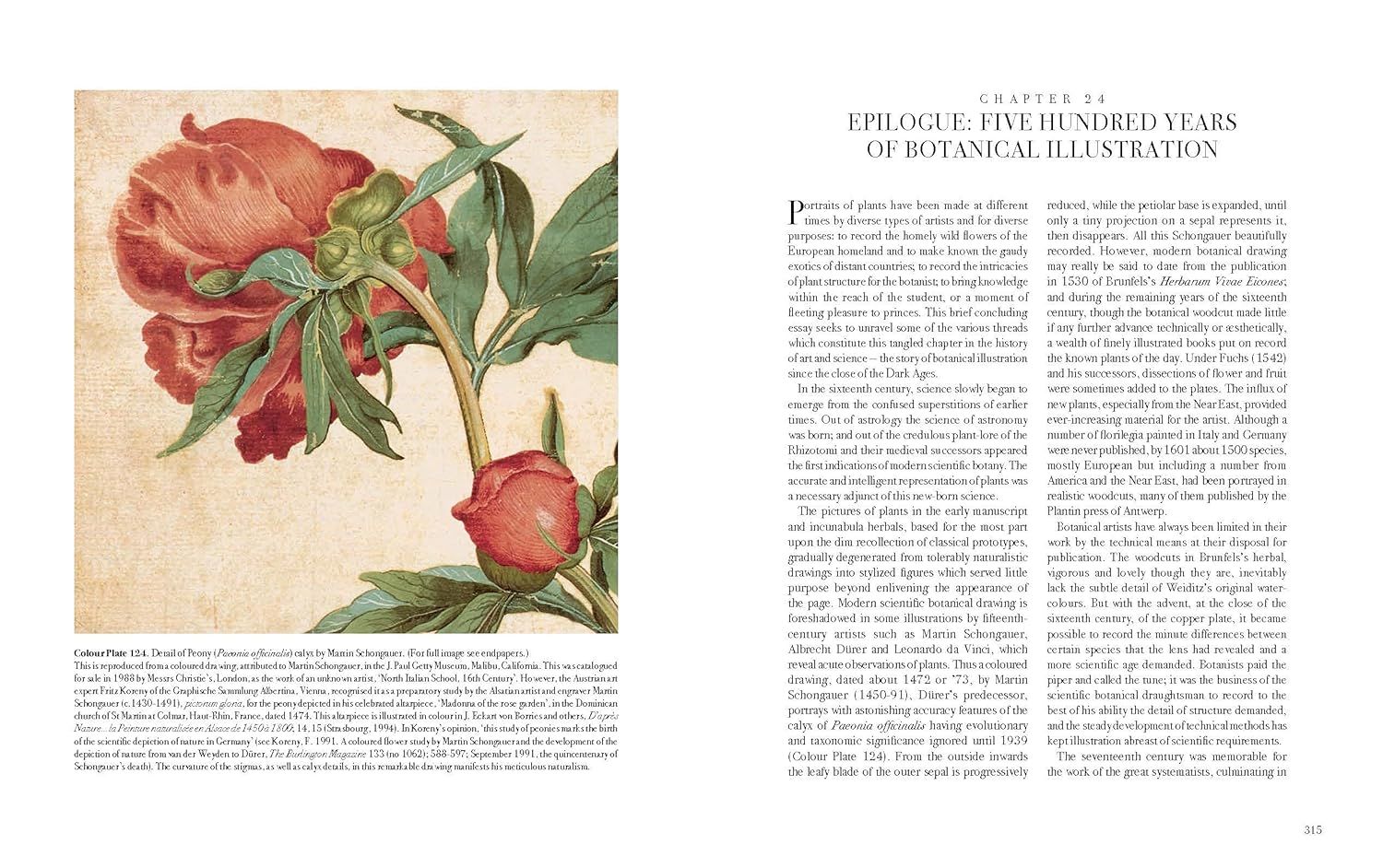  The Art of Botanical Illustration 