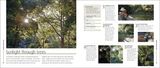  How to Photograph Absolutely Everything_Tom Ang_9781465480255_DORLING KINDERSLEY 