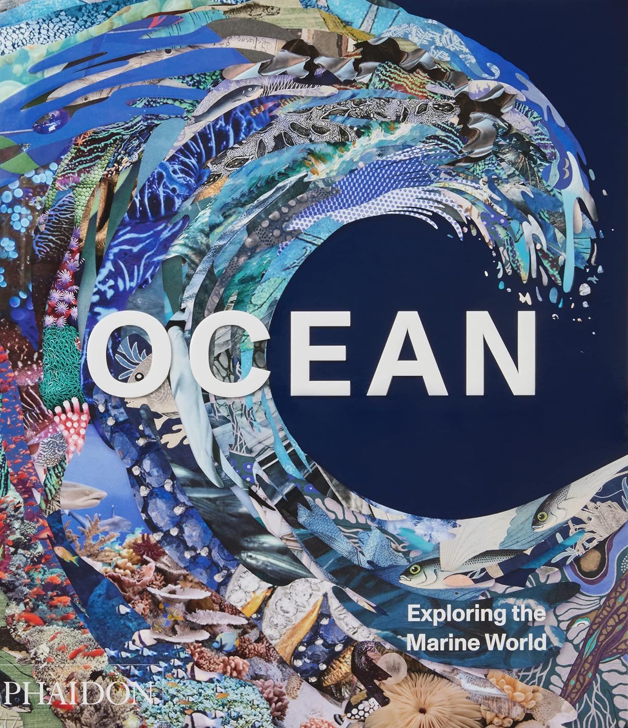  Ocean: Exploring the Marine World 