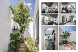  Biophilic Architecture 